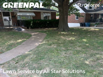 Yard Cutting nearby St. Louis, IL, 