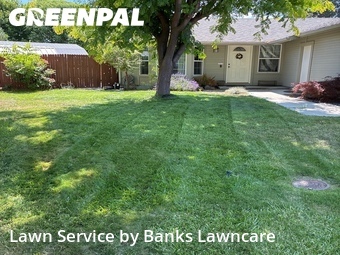 Lawn mowed in Boise, 83714