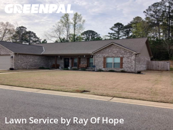 Lawn Cut nearby Tuscaloosa, AL, 