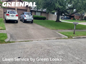 Lawn Cut nearby Pasadena, TX, 