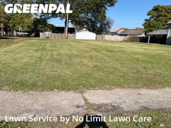 Lawn Cutin Granite City,62040,Lawn Mowing by No Limit Lawn Care, work completed in Dec , 2025