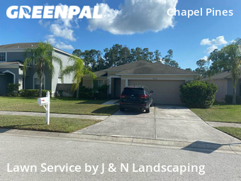 Lawn Mow nearby Wesley Chapel, FL, 