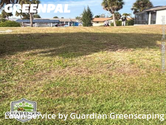 Lawn mowed in Port Charlotte, 33948