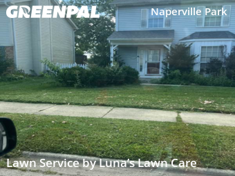 Lawn Maintenance nearby Naperville, IL, 
