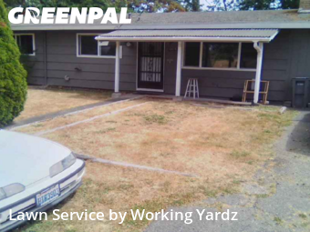 Grass Cut nearby Federal Way, WA, 