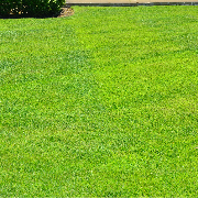 affordable-landscaping-maintenance-services-in-Auburn-WA