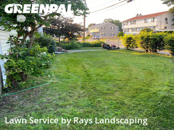 Grass Cutting nearby Watertown, MA, 