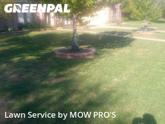 Lawn Cut nearby Justin, TX, 