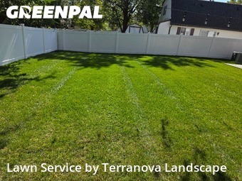 Grass Services in Carol Stream, 60188, Yard Maintenance by Terranova Landscape, work completed in Nov , 2025