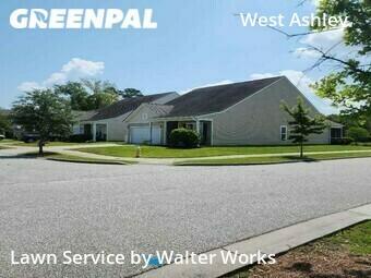 Grass Cut nearby Charleston, SC, 