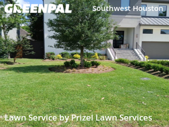 Grass Cutin Bellaire,77401,Grass Cutting by Prizel Lawn Services, work completed in Dec , 2025