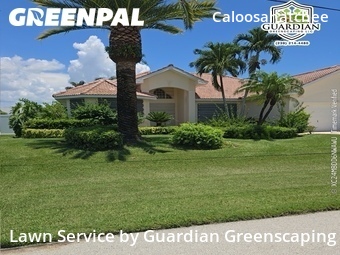 Grass Cut nearby Cape Coral, FL, 
