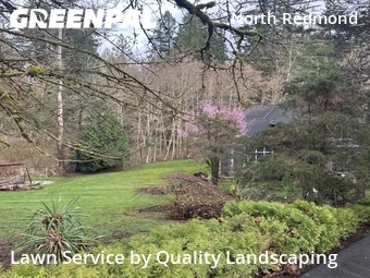 Lawn mowed in Redmond, 98052