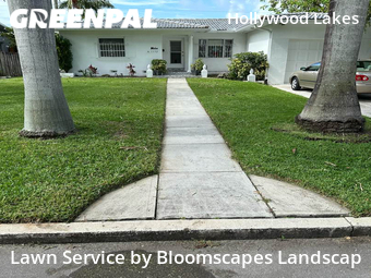 Grass Cut nearby Hollywood, FL, 