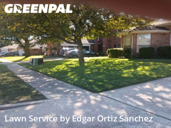 Lawn Mowing Servicein Wylie,75098,Lawn Service by Edgar Ortiz Sanchez, work completed in Feb , 2026
