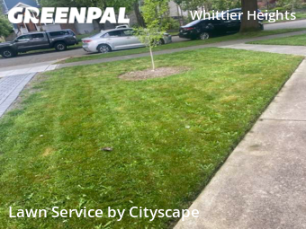 Yard Cutting nearby Seattle, WA, 