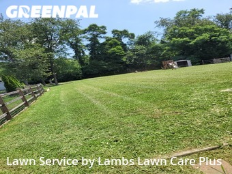 Lawn Maintenance nearby Williamsport, WV, 