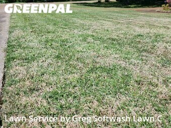 Lawn Cutting nearby Germantown, MS, 
