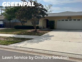 Grass Cut nearby Palm Harbor, FL, 