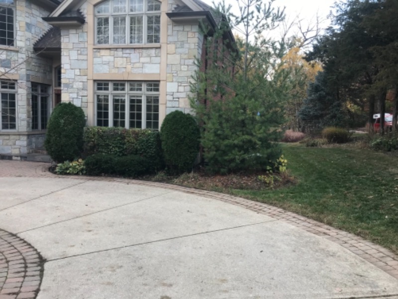 Yard mowing company in Hazel Crest, IL, 60429