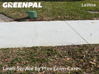 Lawn Mow nearby Orlando, FL, 