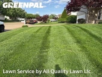 Lawn Cutting nearby St. Peters, MO, 