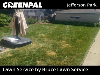 Lawn Care nearby Chicago, IL, 