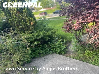 Lawn mowed in Glenview, 60025