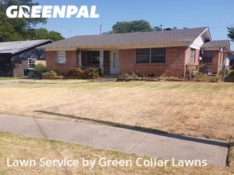 Grass Cut nearby Fort Worth, TX, 