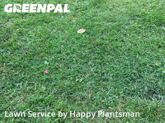 Lawn Mowing in Huber Heights, 45424, Grass Services by Happy Plantsman, work completed in Oct , 2025