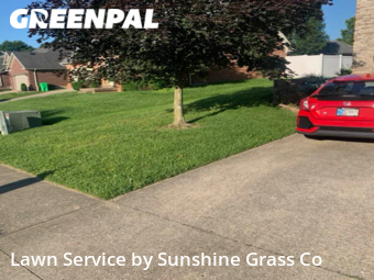 Grass Cut nearby New Albany, IN, 