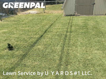 Lawn Mowing nearby Riverbank, CA, 