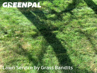 Lawn Cut nearby Billings, MT, 