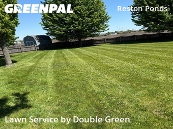 Yard Cutting nearby Sycamore, IL, 