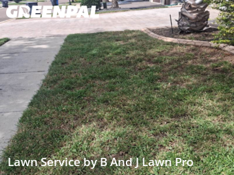 Lawn Carein Brandon,33511,Lawn Service by B And J Lawn Pro, work completed in Oct , 2025