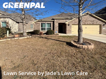 Lawn mowed in San Antonio, 78245