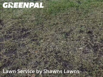 Lawn Mowing Service nearby Dallas, TX, 