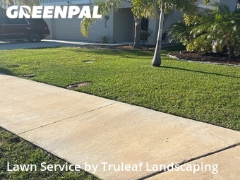 Grass Cutting nearby Parrish, FL, 