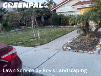 Lawn Cut nearby Tracy, CA, 