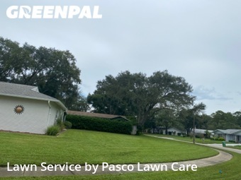 Lawn Maintenance nearby Palm Harbor, FL, 