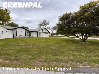Lawn Cut nearby Spring Hill, FL, 