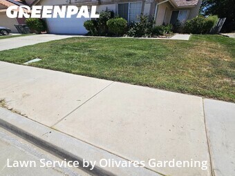 Lawn Mow nearby Lancaster, CA, 