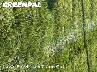 Lawn Mow nearby Murfreesboro, TN, 