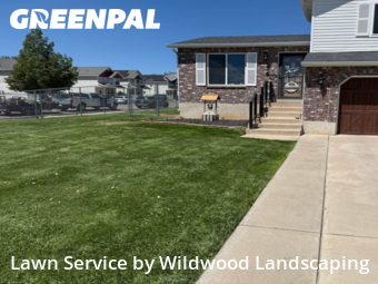 Weed Trimming in Clearfield, 84015, Yard Care by Wildwood Landscaping , work completed in Nov , 2025