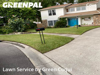 Lawn Care Service nearby Tampa, FL, 