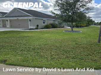 Lawn Maintenance in The Villages, 32163, Yard Management by David's Lawn And Koi, work completed in Dec , 2025