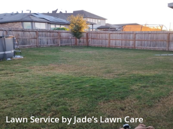 Lawn Care nearby San Antonio, TX, 