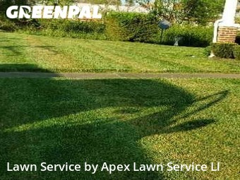 Yard Cutting nearby Kingsport, TN, 