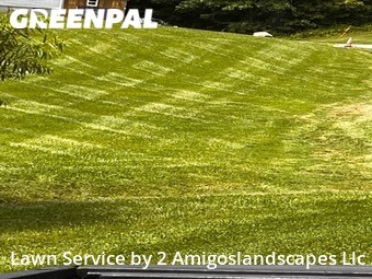Lawn Mow nearby Boones Mill, VA, 