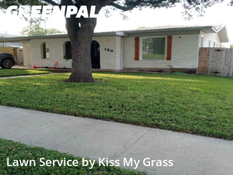Yard Cutting nearby San Antonio, TX, 
